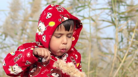 Rohtak, Haryana, India - 12 January, 2020: Cute baby boy blowing dandelion seeds outdoor in nature