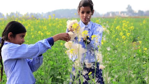 Rohtak, Haryana, India - 12 January, 2020: Teenager girl blowing dandelion seeds outdoor in nature