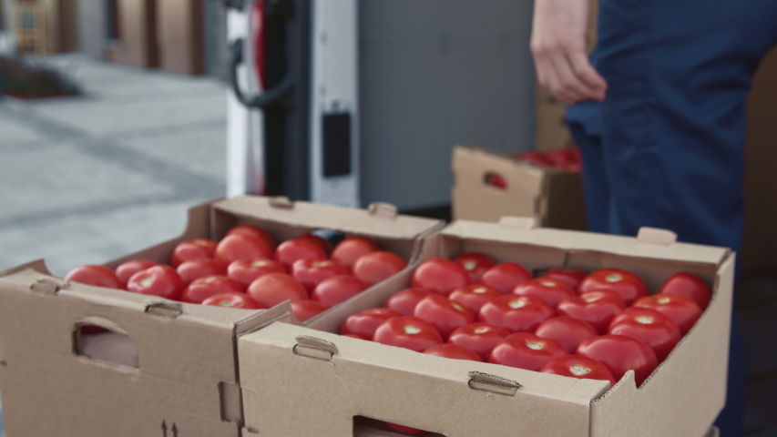 Transportation of Food on Truck. Shipment Order of Foodstuff from Production Plant for Selling. Worker Carrying and Piling Boxes of Tomato for Provider. Concept of Transfer Company or Carriage on Van Royalty-Free Stock Footage #1044847207