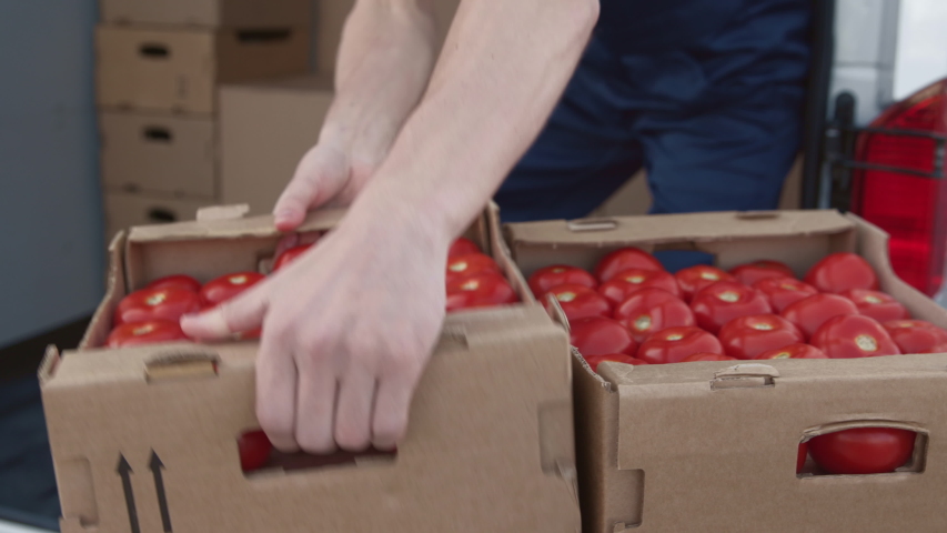 Shutterstock video thumbnail