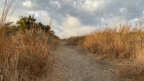 The camera slowly moves along the path through tall, dry bushes. Steadicam shot. Beautiful sunset in Malibu. California, USA