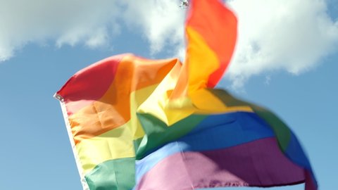 Colorful backlit rainbow gay or lgbt pride flag. Protestor waving LGBT flag at Parade