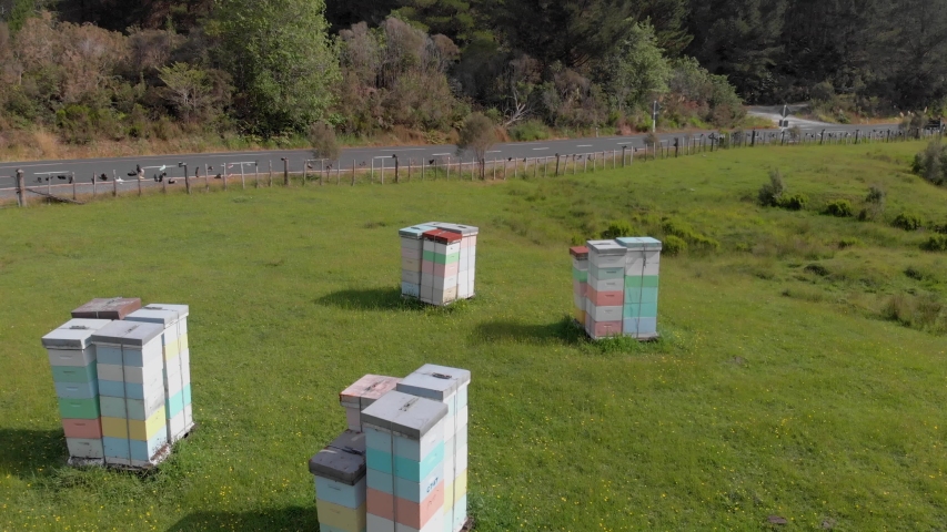 Manuka honey beehives, New Zealand