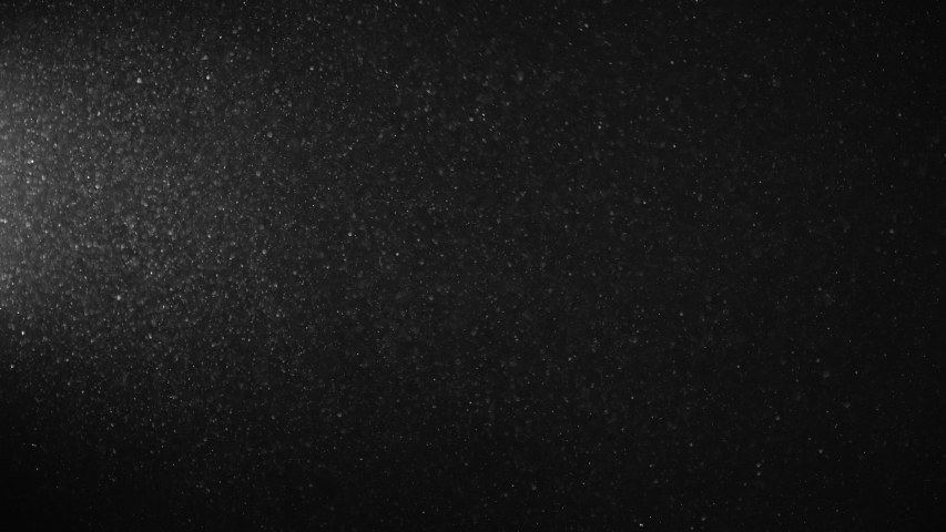 Natural Organic Dust Particles Floating On Black Background. Glittering Sparkling Particles Randomly Spin In The Air With Bokeh. White Dynamic Particles With Slow Motion. Particles Shimmering In Space | Shutterstock HD Video #1044912502