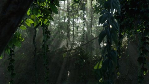 Landscape 3D animation motion walking through deep mysterious tropical jungle forest with sun shine god ray glimmering through trees in the morning rendered in 4K