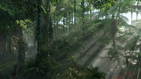 Landscape 3D animation motion panning of deep wild and mysterious tropical jungle forest with sun shine god ray rendered in 4K
