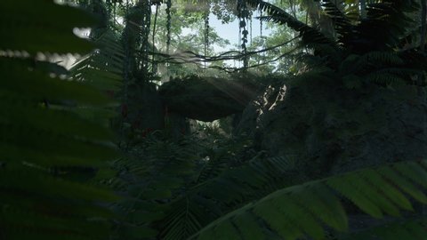 Landscape 3D animation motion walking through deep mysterious tropical jungle forest with sun shine god ray glimmering through foliage in the morning rendered in 4K