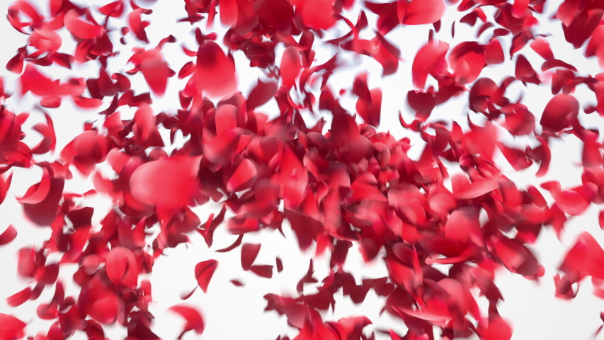 Flower petals explosion. 3D realistic animation of many petals explosion like confetti with alpha matte. Royalty-Free Stock Footage #1044928816