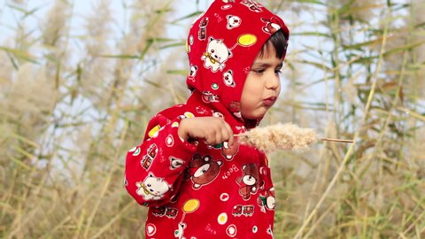 Rohtak, Haryana, India - 12 January, 2020: Cute baby boy blowing dandelion seeds outdoor in nature