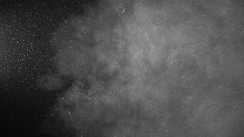 Natural Organic Dust Particles Floating On Black Background. Glittering Sparkling Particles Randomly Spin In The Air With Bokeh. White Dynamic Particles With Slow Motion. Particles Shimmering In Space Royalty-Free Stock Footage #1044933898