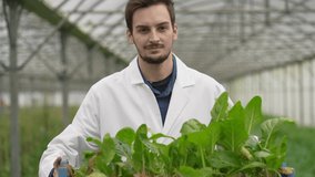 Apprentice in greenhouse picking vegetables