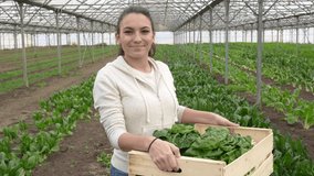 Apprentice in greenhouse holding crate of vegetables