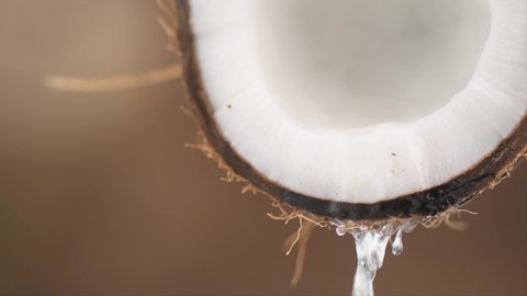 Coconut pouring water, dripping coconut milk, drops of coco nuts oil over brown background. Tropical Coco nut closeup. Healthy Food, skin care concept. Vegan food. 4K UHD video, slow motion