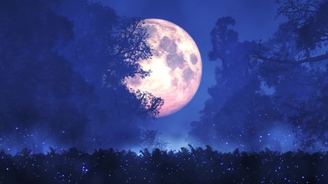 4K Romantic Magic Forest Full Moon Midnight Seamless Looping Animation
