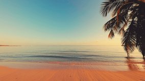 Sunrise over tropical island beach and palm trees. Punta Cana, Dominican Republic