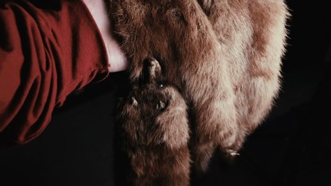 Holding an animal fur pelt