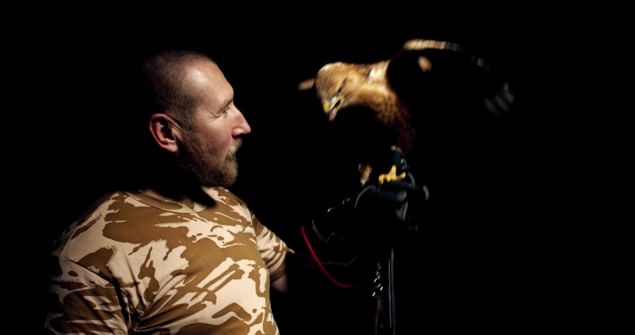 Trainer is making hawk flap its wings, beautiful wildlife, predatory bird, 4k