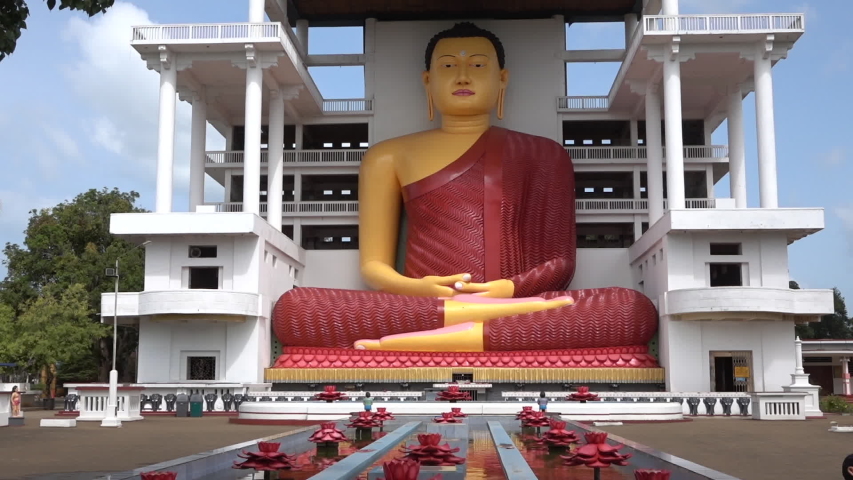 A huge Buddha statue in Sri Lanka, flowers in the water in the foreground.