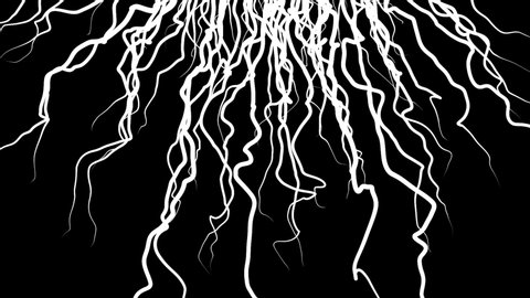 Moving growing roots on black background. Animation. Abstract animation of branching roots like live vines on black background