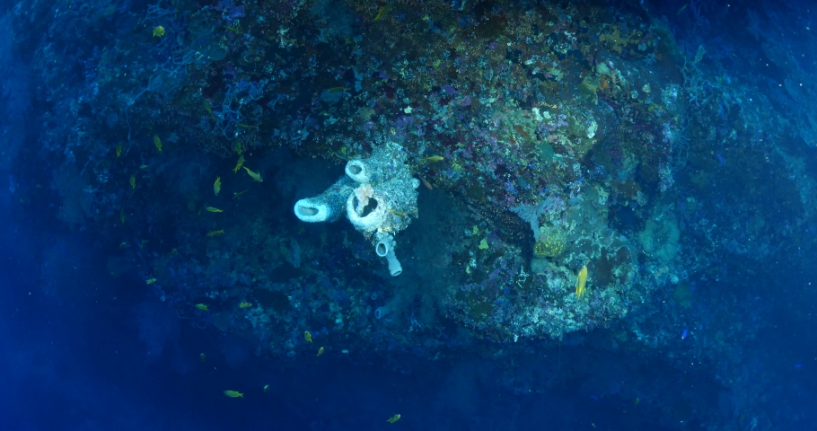 bautiful tropical hard and soft coral scenery underwater with fish around