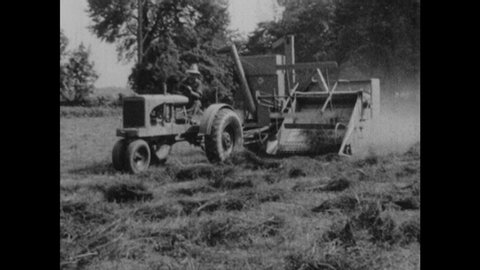 1930s: Farmer drives tractor and combine harvester over field of cut poor man's clover.