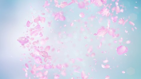 Pink Rose Petals explosion in 4K