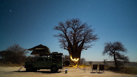 Static timelapse of adventurous couple on Africa Safari in Botswana, wild camping/glamping under night sky with Baobab trees, Miky Way, travel truck, fairy/solar lights  and tent.
