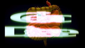 CELIAC DISEASE title animated with GI anatomy (intestines and colon) in the background