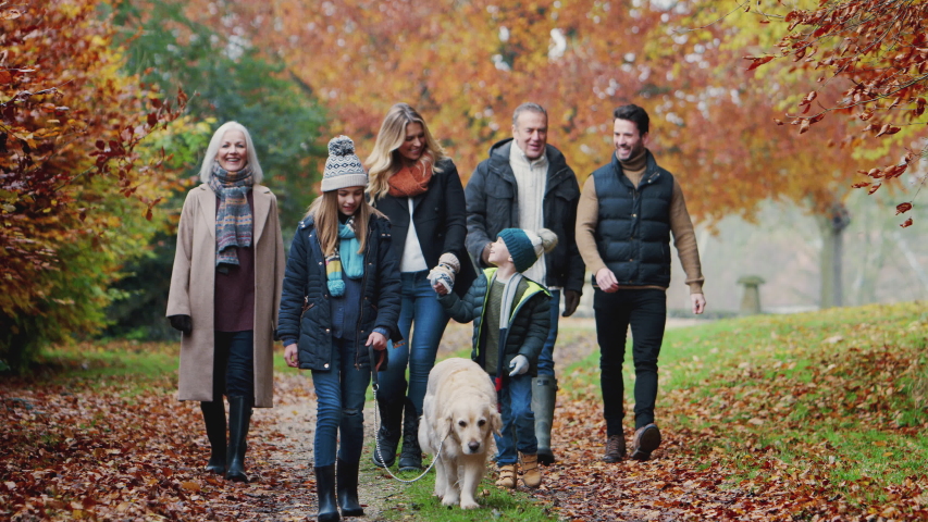 Smiling Multi-Generation Family With Dog Walking Along Path Through Autumn Countryside Together Royalty-Free Stock Footage #1045100989