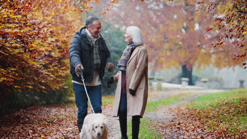 Happy Retired Senior Couple Taking Dog For Walk Along Path In Autumn Countryside Together | Shutterstock HD Video #1045101049