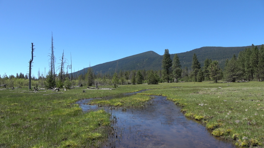 Oregon summer mountain creek nature