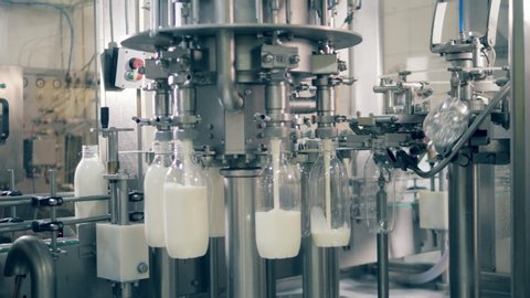 Transparent bottles are getting filled with milk by factory complex. Industrial factory equipment Filling Plastic Bottles