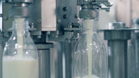 Factory conveyor is spinning and filling bottles with milk. Automated process of filling bottles with milk.