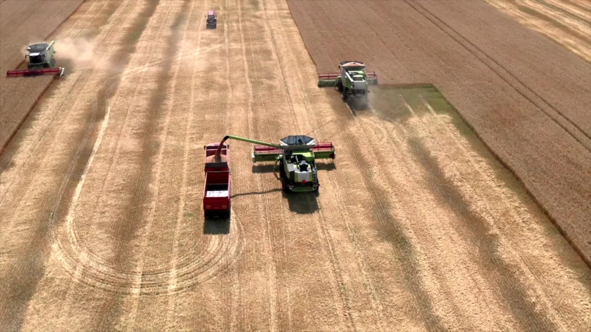 Autonomous transportation in agriculture. Self-driving harvesters ride on wheat field and harvest. Aerial view Royalty-Free Stock Footage #1045125007
