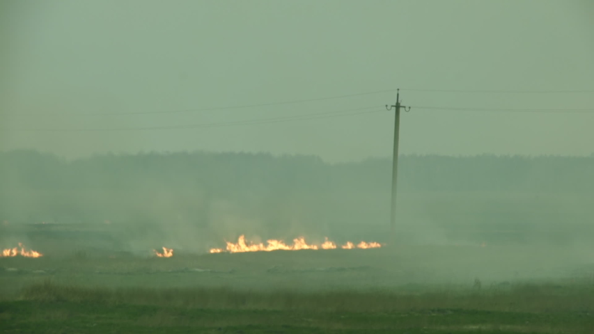 Burning field. The fire is quickly fanned by the wind. Storming ...