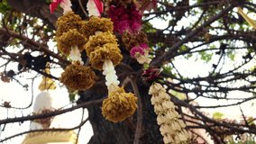 Thai floral garlands for altar and religion ritual warship hanging on tree in temple or shrine, little moving by wind
