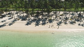 Aerial view of tropical beach with coconut palm trees and beautiful coastline