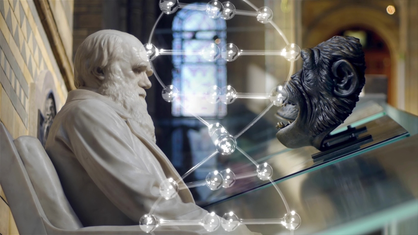 Darwin, DNA and a monkey.

Statue of Charles Darwin composited with a model of a DNA molecule and a monkey's head. Loops. Royalty-Free Stock Footage #1045179826