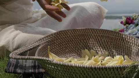 Woman hand holding yellow flowers ylang ylang and putting in basket
