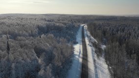 Aerial video view of winter road in taiga on Salair Ridge in winter. Abies sibirica trees covered by hoarfrost rise above the aspen forest. Siberia, Russia
