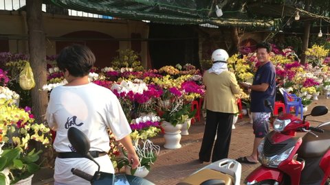 VUNG TAU, VIETNAM - JANUARY 2020: Unidentified Vietnamese people choose flowers on Tet Eve (Vietnamese New Year) at a street marketplace.