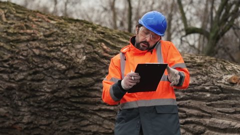 Forestry technician talking on mobile phone in forest during logging deforestation process, handheld footage