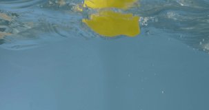 Swimming of fresh juicy orange under water with splashing in a glass container on a gray background. Slow motion 2K video.