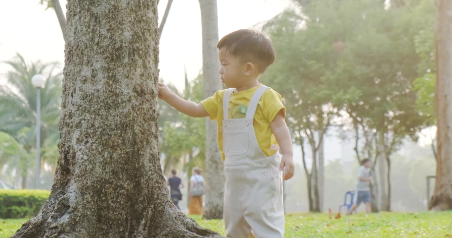 Adorable 1-2 year toddler baby boy playing on green grass with tree sunset park