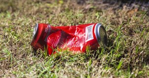 Ants build their colony over a cola can. A long term time lapse of an ants folk. a cola can in the gras will captured by thousands of ants. Over night the ants covering almost the full cola can
