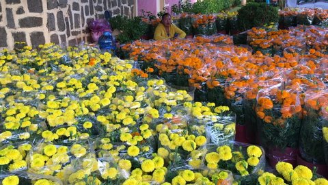 VUNG TAU, VIETNAM - JANUARY 2020: An unidentified Vietnamese woman sells yellow and orange flowers on Tet Eve (Vietnamese New Year) at a street marketplace.