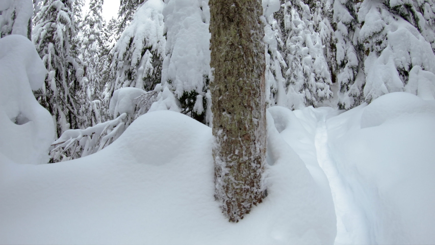 Trekking Forest Trail in Deep Powder Snow POV