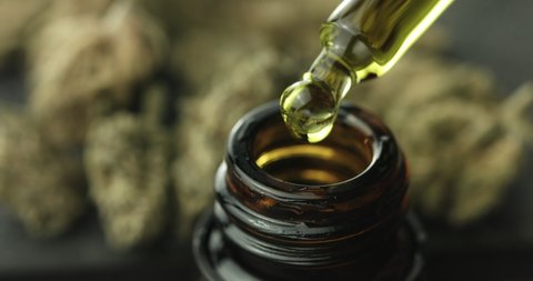 CBD Hemp oil, Hand holding droplet of Cannabis oil against Marijuana buds. Alternative Medicine. 4k slow motion