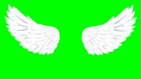 Transparent Angel Wings Stock Video Footage 4k And Hd Video Clips Shutterstock