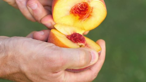 Men's hands break a ripe peach in half. Ripe juicy fruits. Diet	